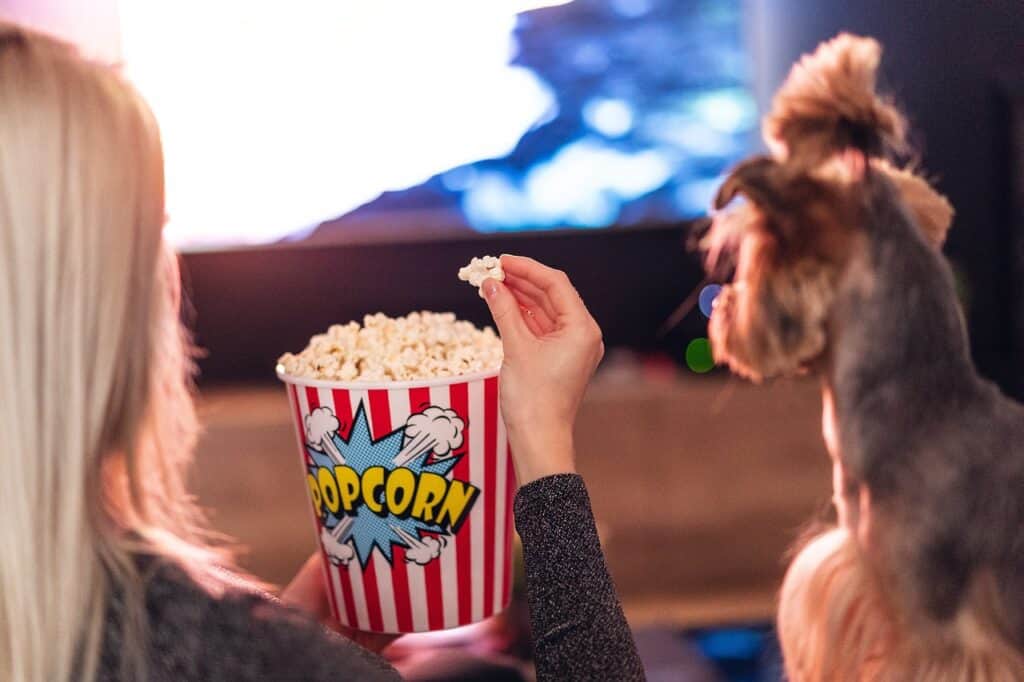 popcorn snack